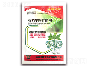 �����������焩-��������