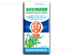 ���������ЙC(j��)����-�Ū{-��������