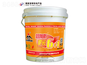 ���L(zh��ng)6+1-��ķ˹