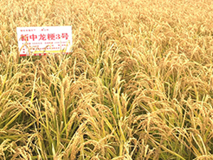 ��������3̖(h��o)-С���N��-���S�N�I(y��)