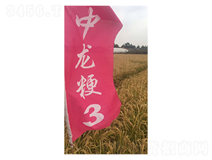 ������3̖(h��o)-С���N��-���S�N�I(y��)