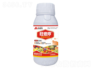 500ml����ٿ؄�-����ͣ-������