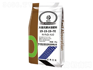 ����Ԫ��ˮ�ܷ���19-19-19+TE-ʩ����