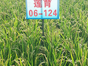 ɏ��06-124-ˮ���N��-ɏ�R�r�I(y��)