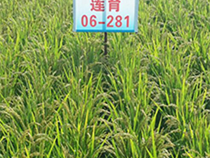 ɏ��06-281-ˮ���N��-ɏ�R�r�I(y��)