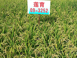 ɏ��09-3252-ˮ���N��-ɏ�R�r�I(y��)