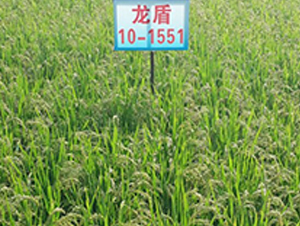 ����10-1551-ˮ���N��-ɏ�R�r�I(y��)