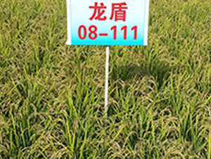 ����08-111-ˮ���N��-ɏ�R�r�I(y��)