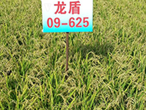 ����09-625-ˮ���N��-ɏ�R�r�I(y��)