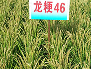 ����46-ˮ���N��-ɏ�R�r�I(y��)