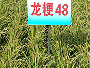 ����48-ˮ���N��-ɏ�R�r�I(y��)