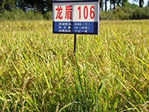 ����106-ˮ���N��-ɏ�R�r�I(y��)