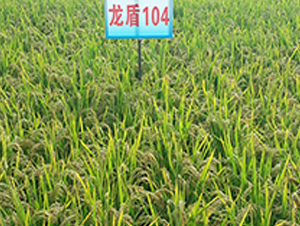 ����104-ˮ���N��-ɏ�R�r�I(y��)