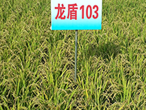 ����103-ˮ���N��-ɏ�R�r�I(y��)