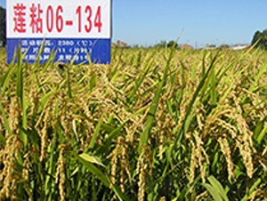 ɏճ06-134-ˮ���N��-ɏ�R�r�I(y��)