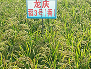 ���c��3̖-ˮ���N��-ɏ�R�r�I(y��)