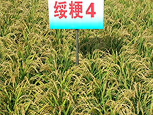 ����4-ˮ���N��-ɏ�R�r�I(y��)