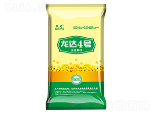 ���_(d��)4̖-���_(d��)-�����N�I(y��)