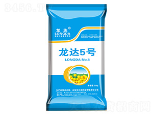 ���_(d��)5̖(h��o)-���_(d��)-�����N�I(y��)