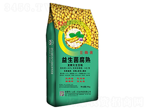 ����������l(f��)�ʹ󶹶���-�W�׬�