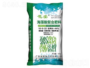 �������(f��)�����16-6-22-����-�GԴ