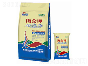 ����⛣��M�ϣ�-�ۿ�̩