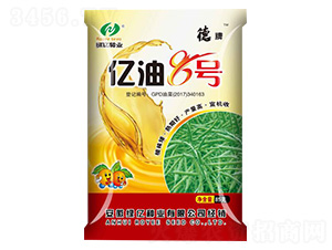 �|��8̖(h��o)-�G�|�N�I(y��)