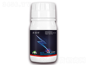 1.8%���S����-���Z��-�S�՘�