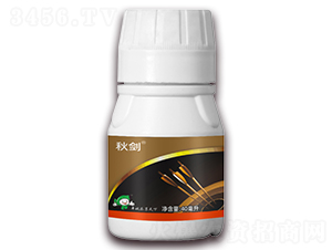 5%ʭ����-�-�S�՘�