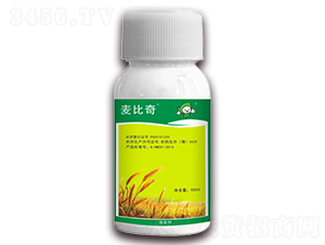 15%Ȳ����-������-�S�՘�