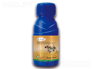 5%��������-����ʿ-�S�՘�