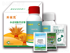 С��������ײ�-��ȸ��-�S�՘�