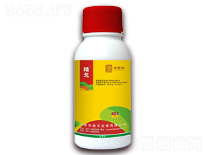 20%���@�-����-�S�՘�