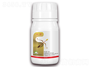 12%�׾S���x����-ʥ��-�S�՘�