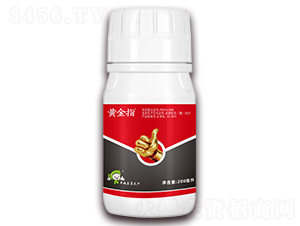 3%�׾S�}+����-�S��ָ-�S�՘�