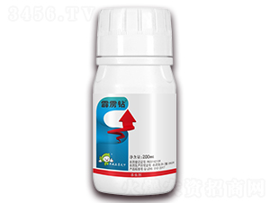 3%���S��������-���Z�@-�S�՘�