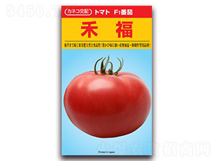 �̸�-���ѷN��-���\(ch��ng)�N��