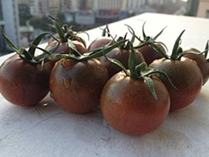 ����150����F1-���ѷN��-���\�N��