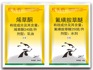 240��ÿ��ϩ��ͪ+250��ÿ������-���^��-�S�՘�