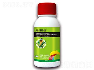 8%������¡-��╱̼�-�S�՘�