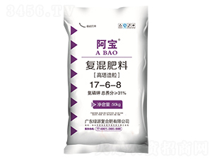 ��(f��)�����17-6-8-����-�GԴ