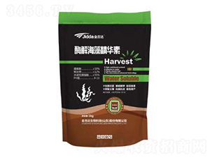 ø�⺣�徫�A��-���_(d��) 