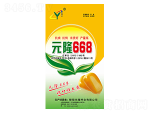 Ԫ¡668�N��-Ԫ¡�N�I(y��)