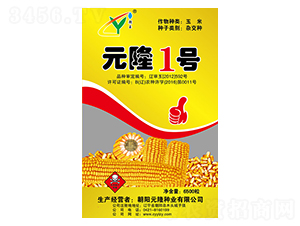 Ԫ¡1̖(h��o)�N��-Ԫ¡�N�I(y��)