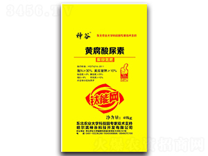 �S��������-���-��ţ�r�I(y��)