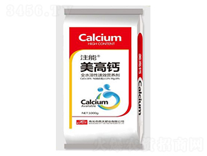 �����}-ע��-����ʘI(y��)