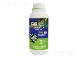 �����}-���_