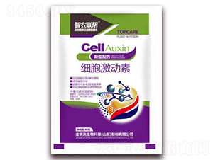 ����������-���_