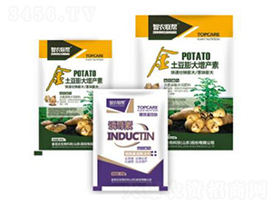 ����������a(ch��n)��-���_