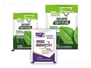 �G�~���h-���_(d��)